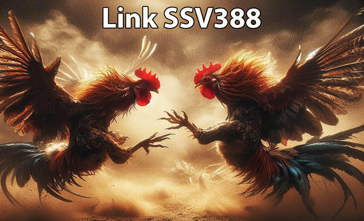 Link vào SSV388 và SVV388 mới nhất