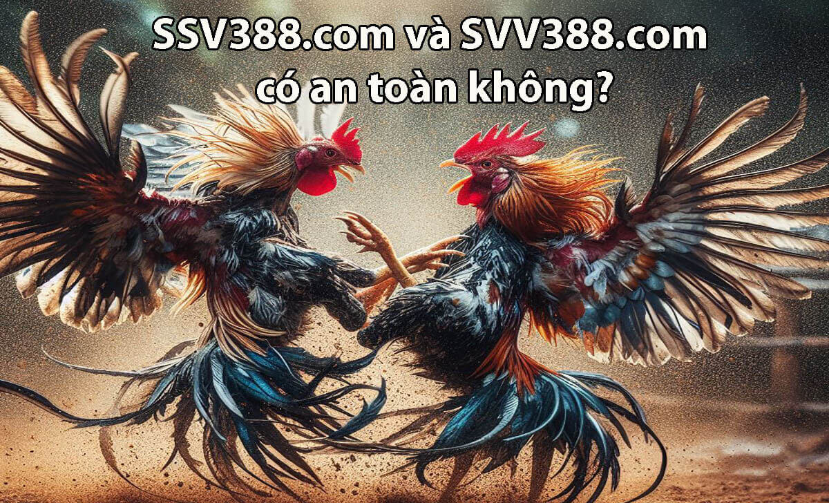 SSV388.com và SVV388.com có an toàn không?