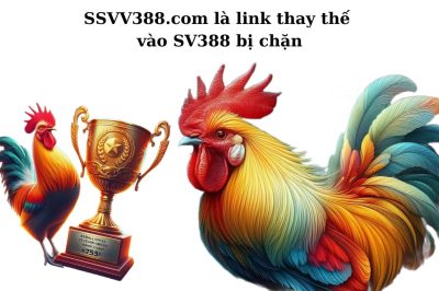 SSVV388.com là link thay thế vào SV388 bị chặn