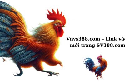 Vnvs388.com – Link vào mới trang SV388.com